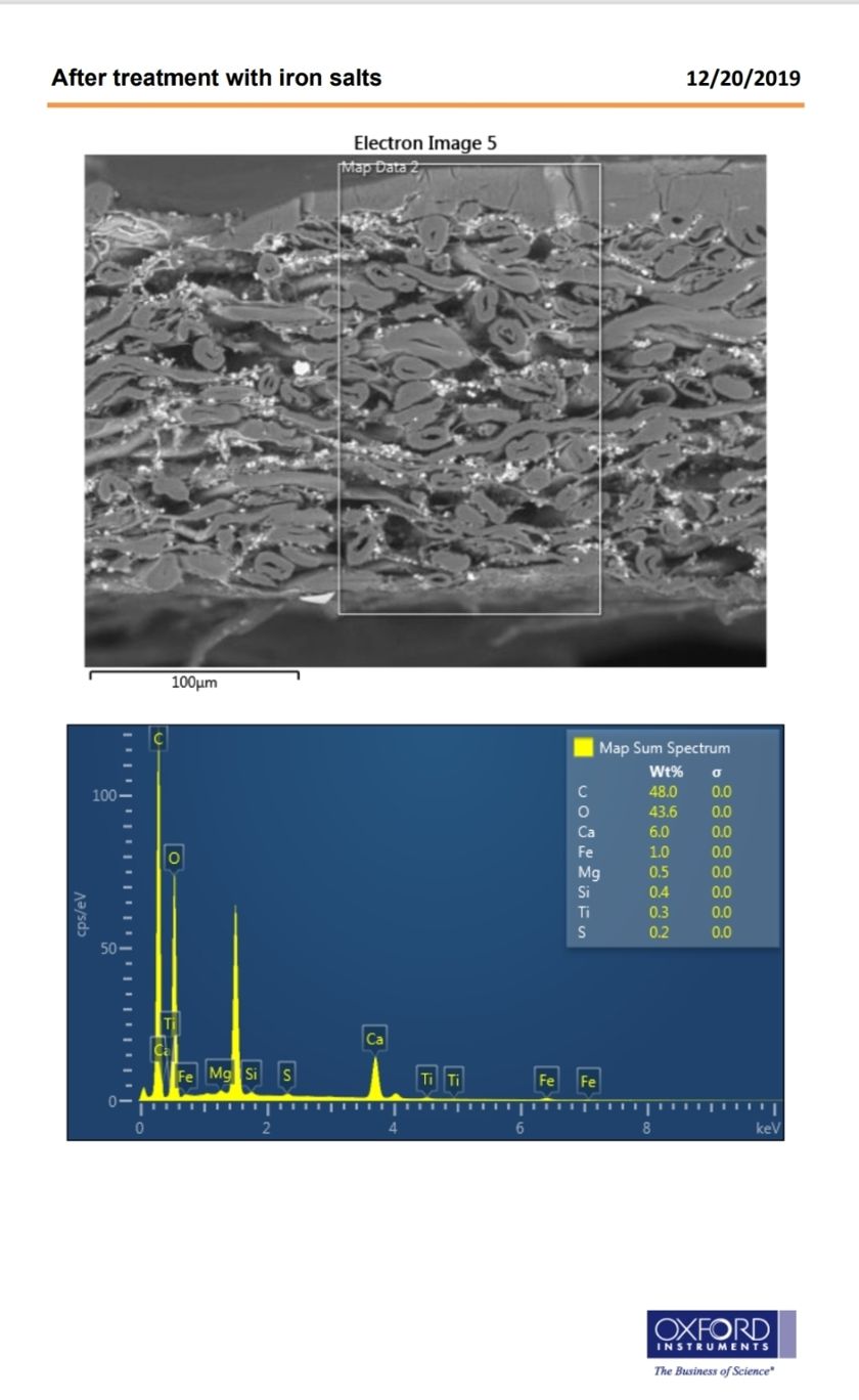 Clemson University electron microscopy and Oxford Instruments EDS analysis after iron salt treatment, December 2019